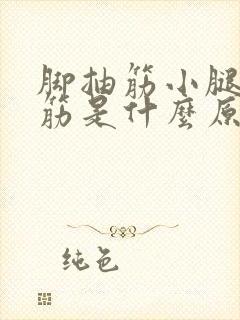 脚抽筋小腿肚抽筋是什么原因引起的