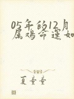 05年的12月属鸡命运如何