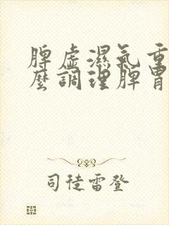 脾虚湿气重吃什么调理脾胃