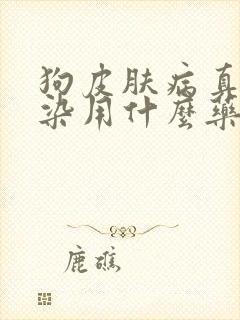 狗皮肤病真菌感染用什么药