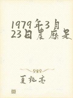1979年3月23日农历是啥命