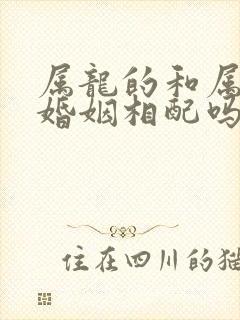 属龙的和属龙的婚姻相配吗