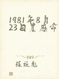 1981年8月23日农历命