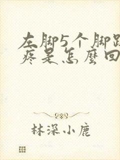 左脚5个脚趾头疼是怎么回事