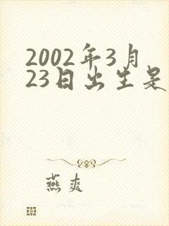 2002年3月23日出生是什么命