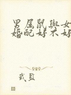 男属鼠与女属鼠婚配好不好