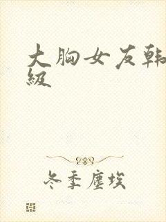 大胸女友韩国三级