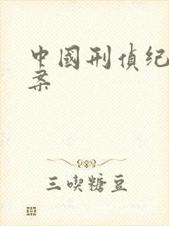 中国刑侦纪实大案封面