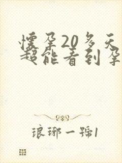 怀孕20多天b超能看到孕囊吗
