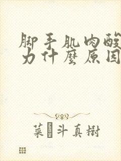 脚手肌肉酸痛无力什么原因