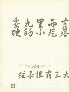 睾丸里面有个硬硬的小疙瘩应该挂什么科