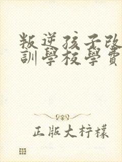 叛逆孩子改造特训学校学费多少