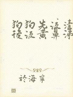 狗狗先流清鼻涕后流黄鼻涕