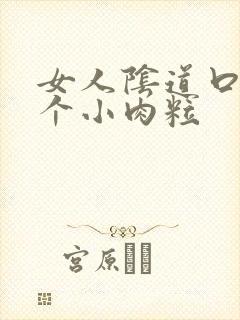 女人阴道口有两个小肉粒