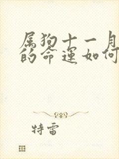 属狗十一月出生的命运如何