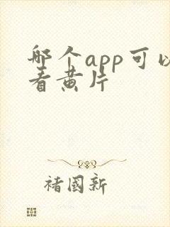 哪个app可以看黄片