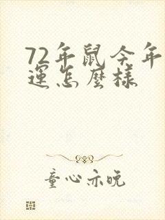 72年鼠今年财运怎么样