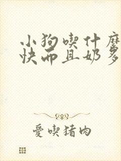 小狗吃什么下奶快而且奶多