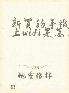 新买的手机连不上wifi是怎么回事