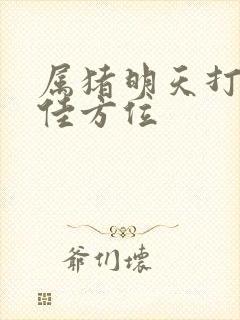 属猪明天打牌最佳方位