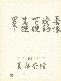 男生下边长了一个硬硬的像痘的包