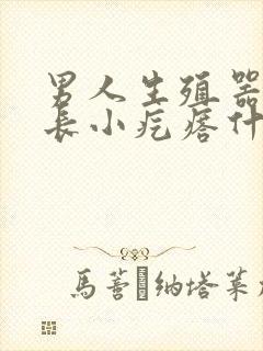 男人生殖器上面长小疙瘩什么原因