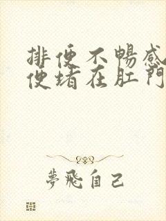 排便不畅感觉大便堵在肛门口怎么办呢