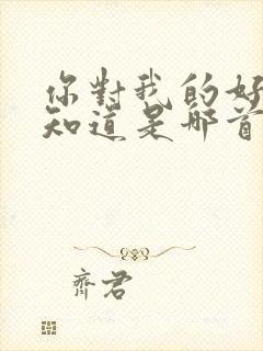 你对我的好我都知道是哪首歌的歌词