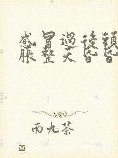 感冒过后头晕脑胀整天昏昏沉沉