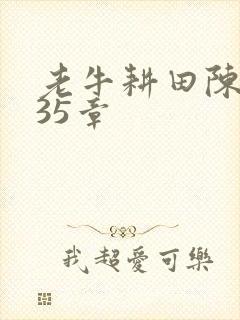 老牛耕田陈雪435章