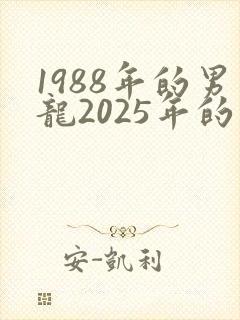 1988年的男龙2025年的运势会怎么样