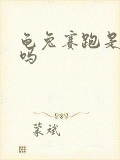 龟兔赛跑是寓言吗