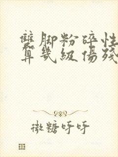 双脚粉碎性骨折算几级伤残