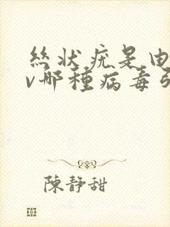 丝状疣是由hpv哪种病毒引起