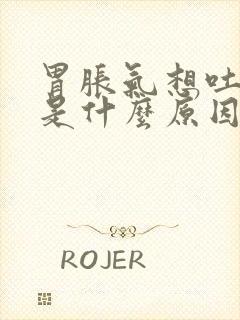 胃胀气想吐打嗝是什么原因