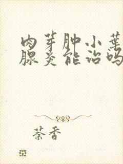 肉芽肿小叶性乳腺炎能治吗