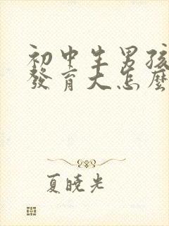 初中生男孩乳房发育大怎么办