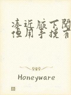 凑近腋下闻不到但用手摸有味道封面