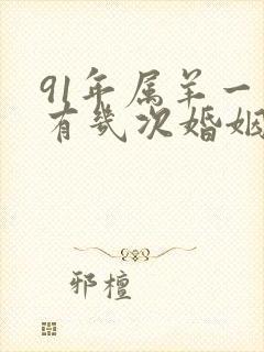 91年属羊一生有几次婚姻