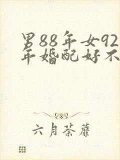 男88年女92年婚配好不好封面