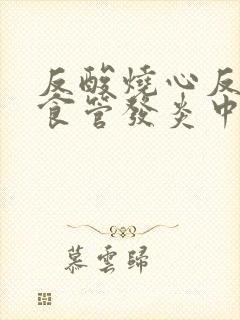 反酸烧心反流性食管发炎中药