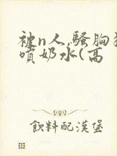 被n人,骚胸狂喷奶水(高