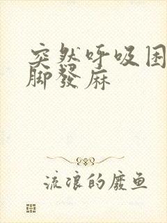 突然呼吸困难手脚发麻封面