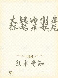 大腿内侧痒痒越抓越痒起疙瘩的怎么回事