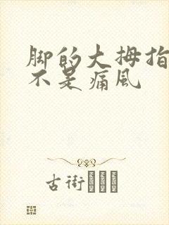 脚的大拇指痛是不是痛风