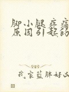 脚小腿疼痛什么原因引起的