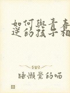 如何与青春期叛逆的孩子相处