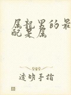 属龙男的最佳婚配是属