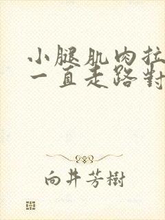 小腿肌肉拉伤后一直走路对恢复有啥影响