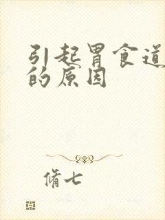 引起胃食道反流的原因